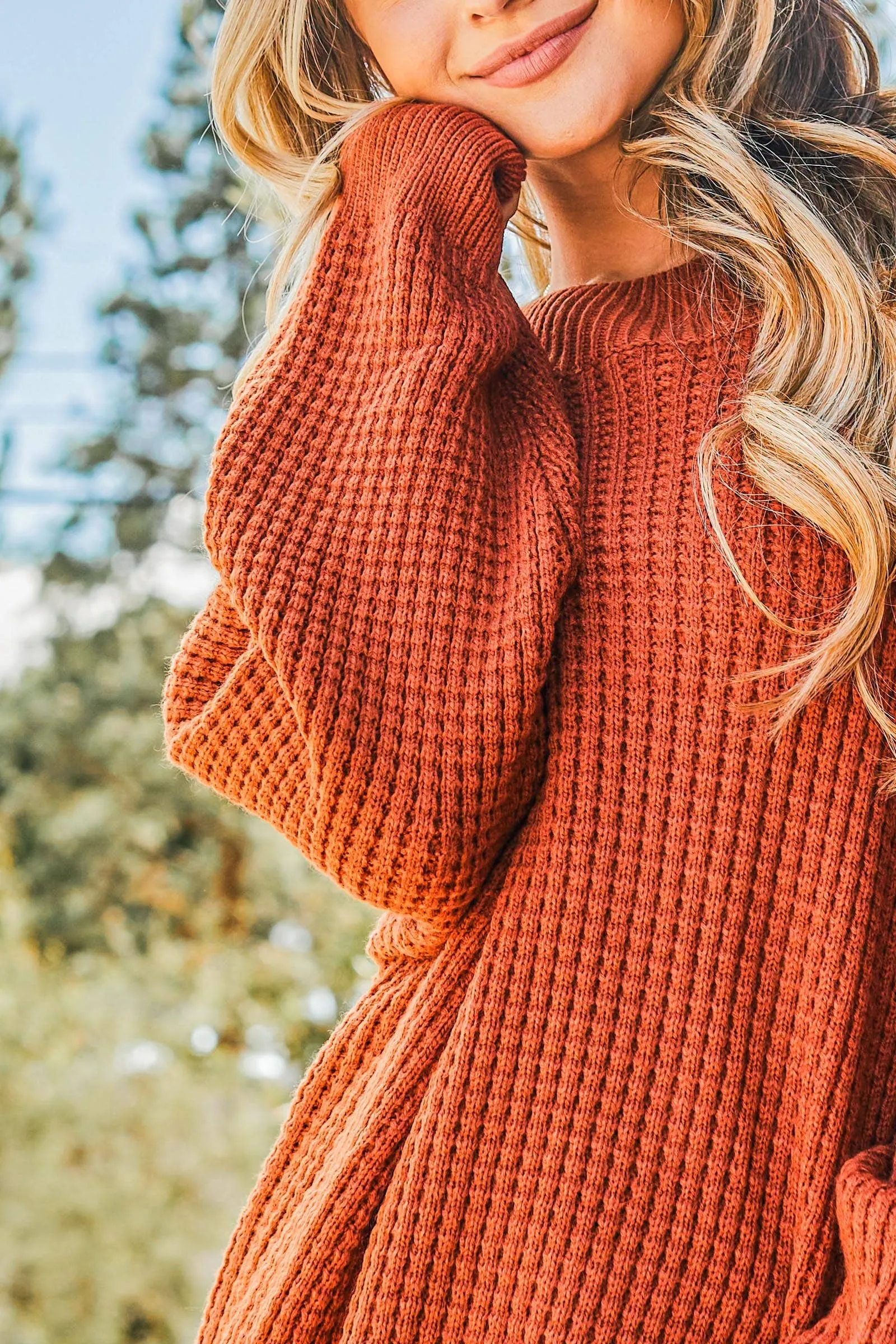 Cozy and Soft Waffle Basic Pullover Sweater- Curvy
