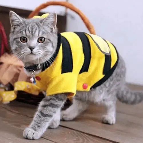 Dog Sweaters | Bee Design | Cute & Cozy