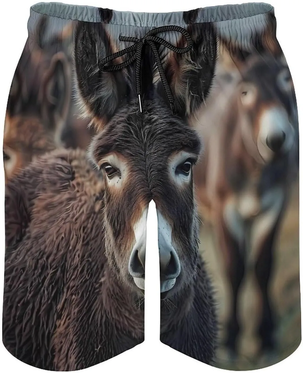 Donkey Men's Swim Trunks Quick Dry Board Shorts Breathable Summer Beach Shorts Bathing Suits