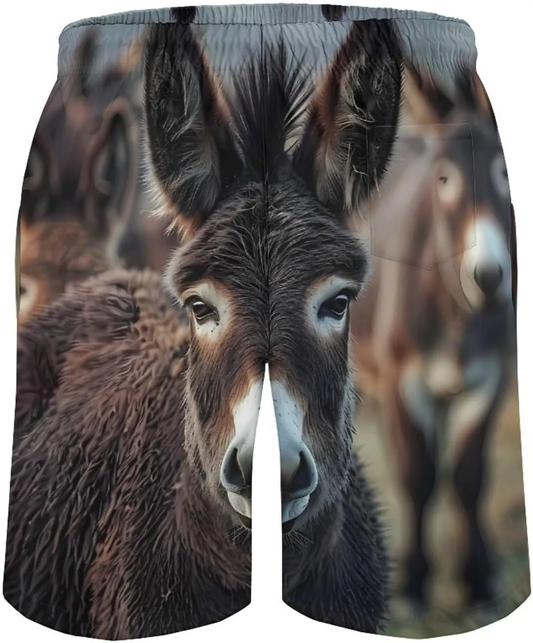 Donkey Men's Swim Trunks Quick Dry Board Shorts Breathable Summer Beach Shorts Bathing Suits