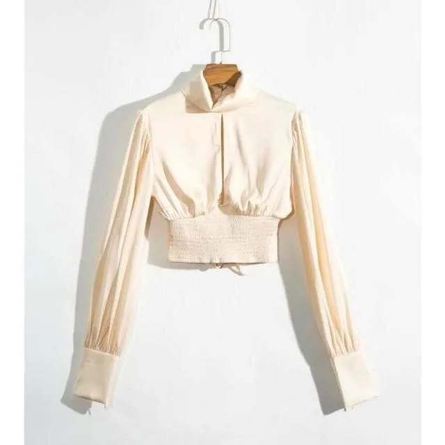ELEGANT BACKLESS SILK CROP TOP