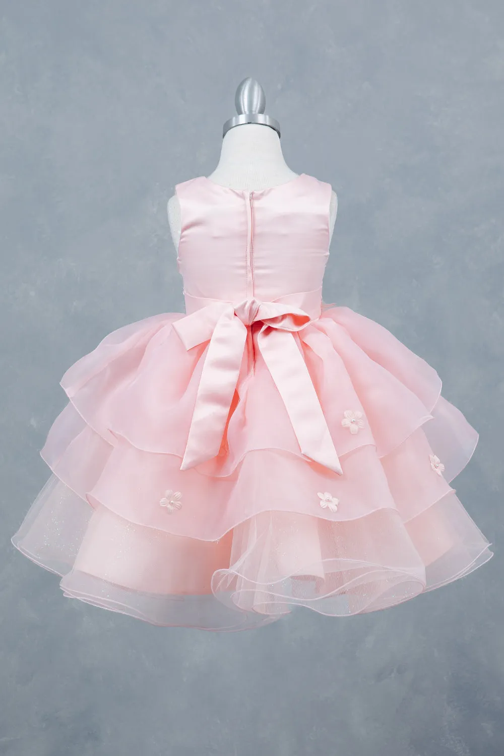 Girls Rhinestone Accent Floral Applique Special Occasion Dress 2-12
