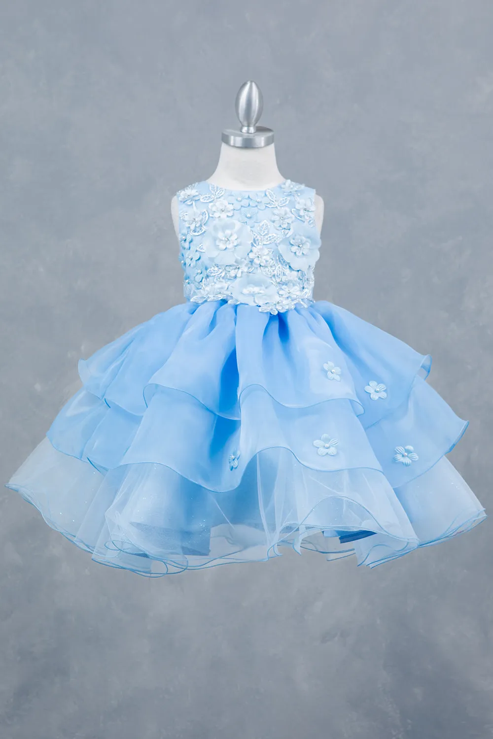 Girls Rhinestone Accent Floral Applique Special Occasion Dress 2-12