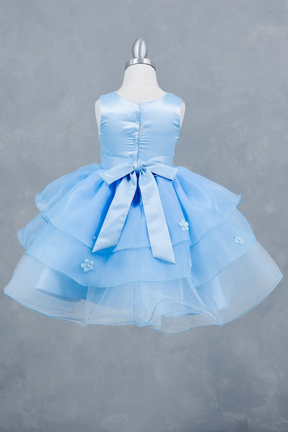 Girls Rhinestone Accent Floral Applique Special Occasion Dress 2-12