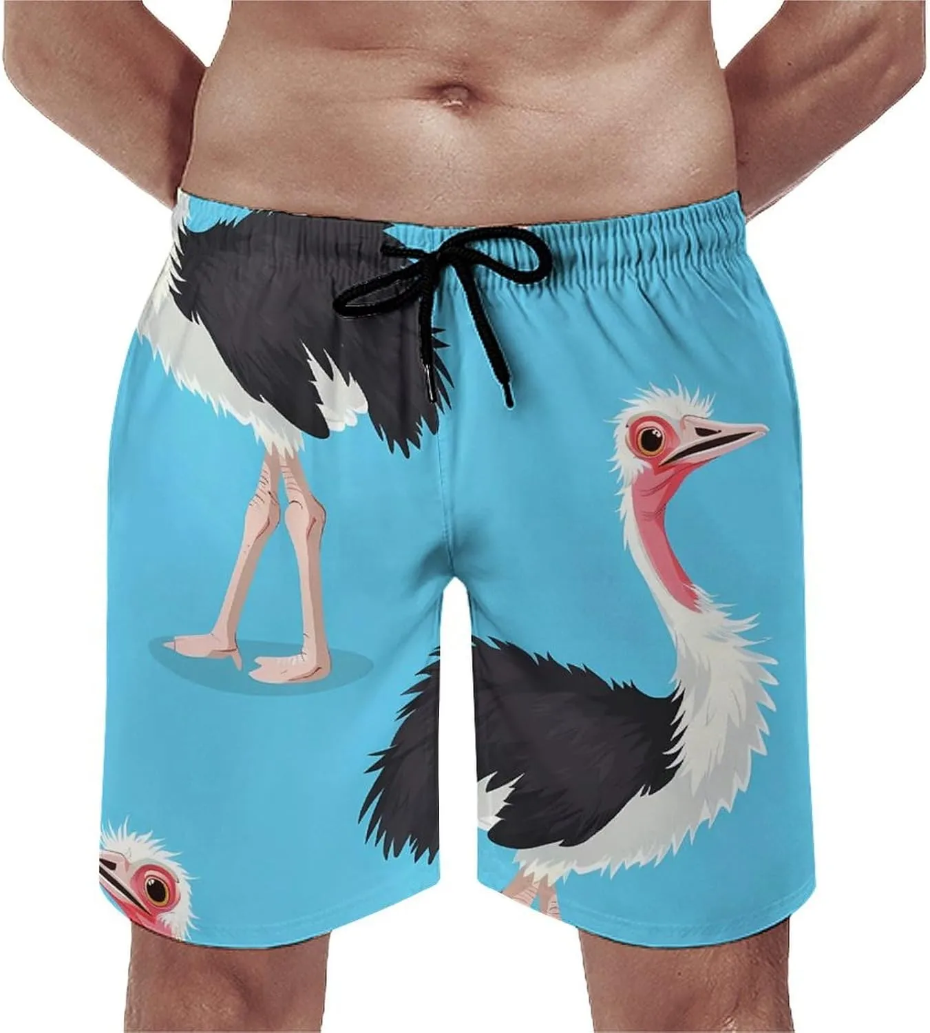 Ostrich Bird Print Men's Swim Trunks Quick Dry Board Shorts Breathable Summer Beach Shorts Bathing Suits