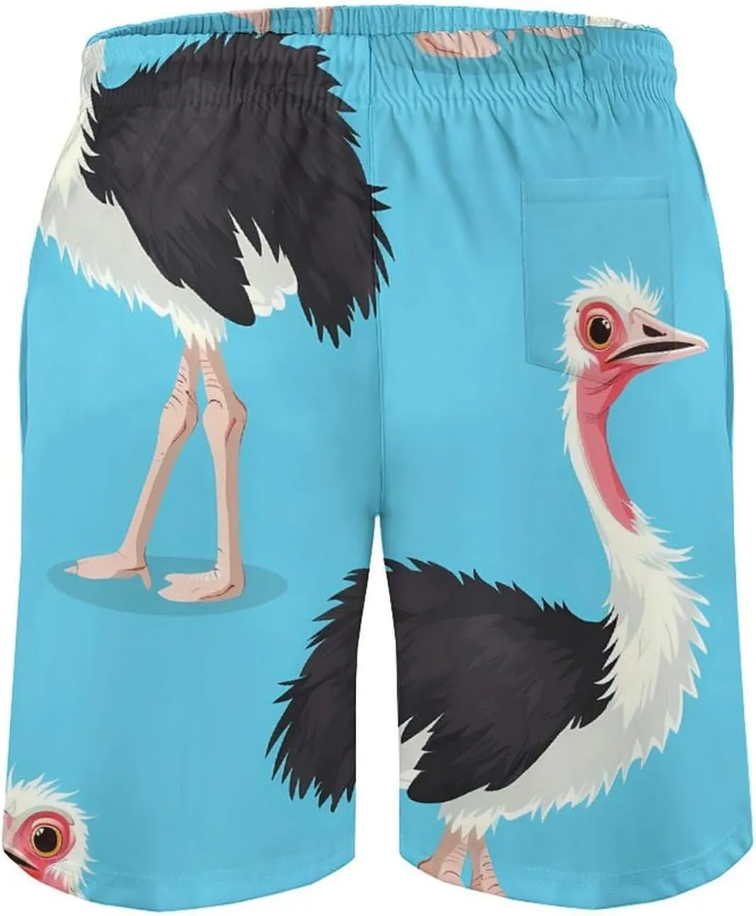 Ostrich Bird Print Men's Swim Trunks Quick Dry Board Shorts Breathable Summer Beach Shorts Bathing Suits